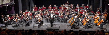 Epsom Symphony Orchestra photo