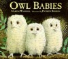 Book cover: Owl Babies