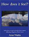 Book cover: How Does it Feel?